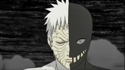Black Zetsu's Rinnegan