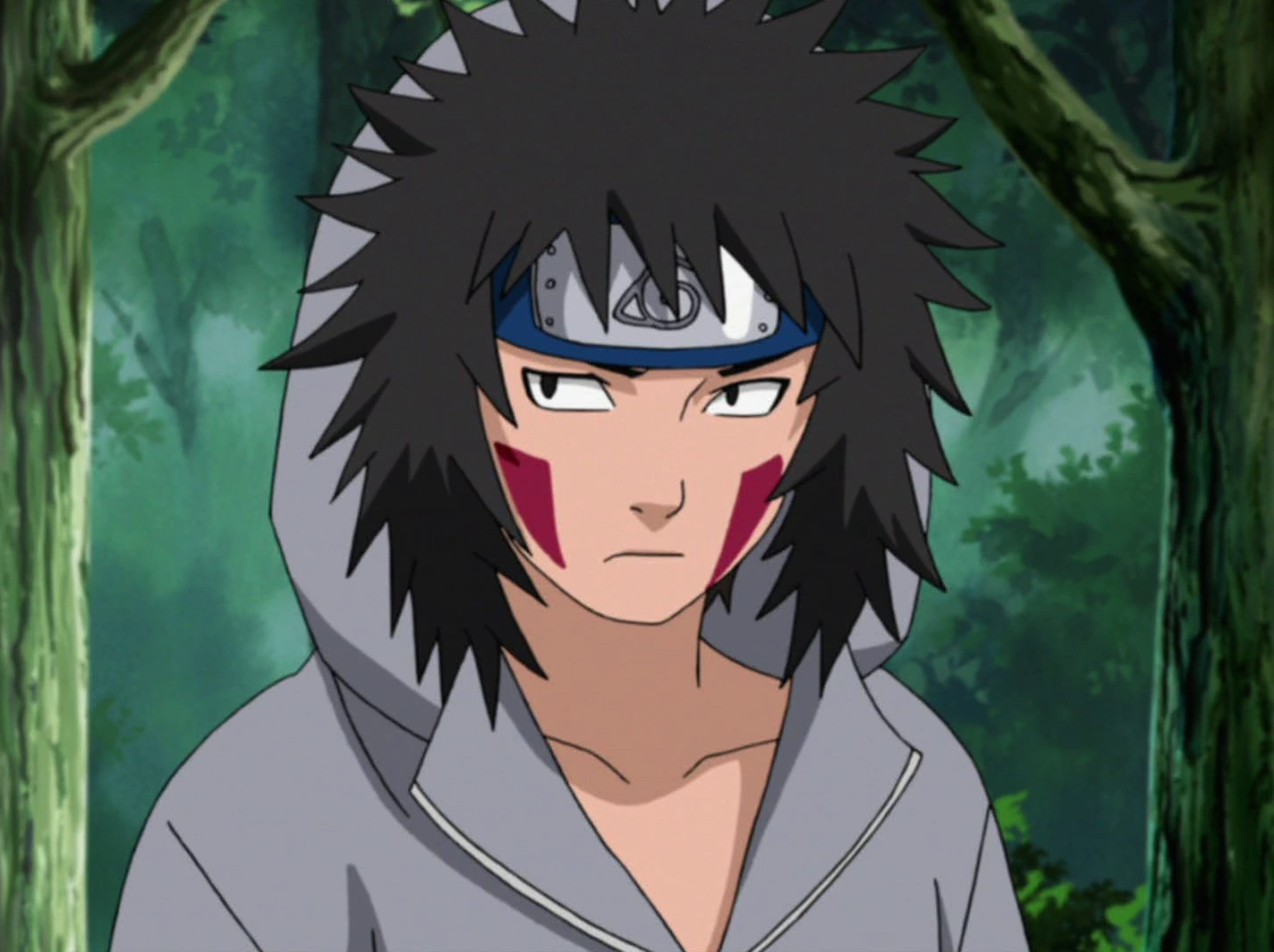 Kiba inuzuka hoodie deals