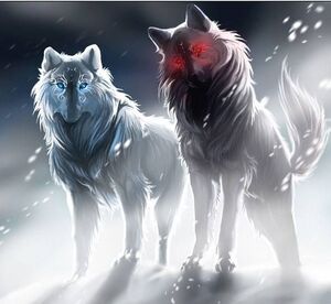Fire and Ice Wolf Wallpapers  Top Free Fire and Ice Wolf Backgrounds   WallpaperAccess