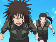 Hana and Tsume
