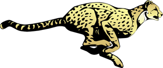 Cheetahs | Naruto Fanon Wiki | Fandom