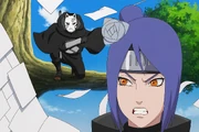 Arikurin and Meldi capture Konan