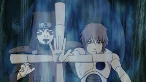 Mechanical Light Shield