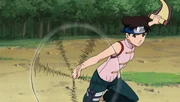 Tenten’s fighting style.