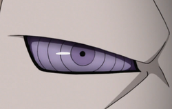 Hagoromo’s Rinnegan.