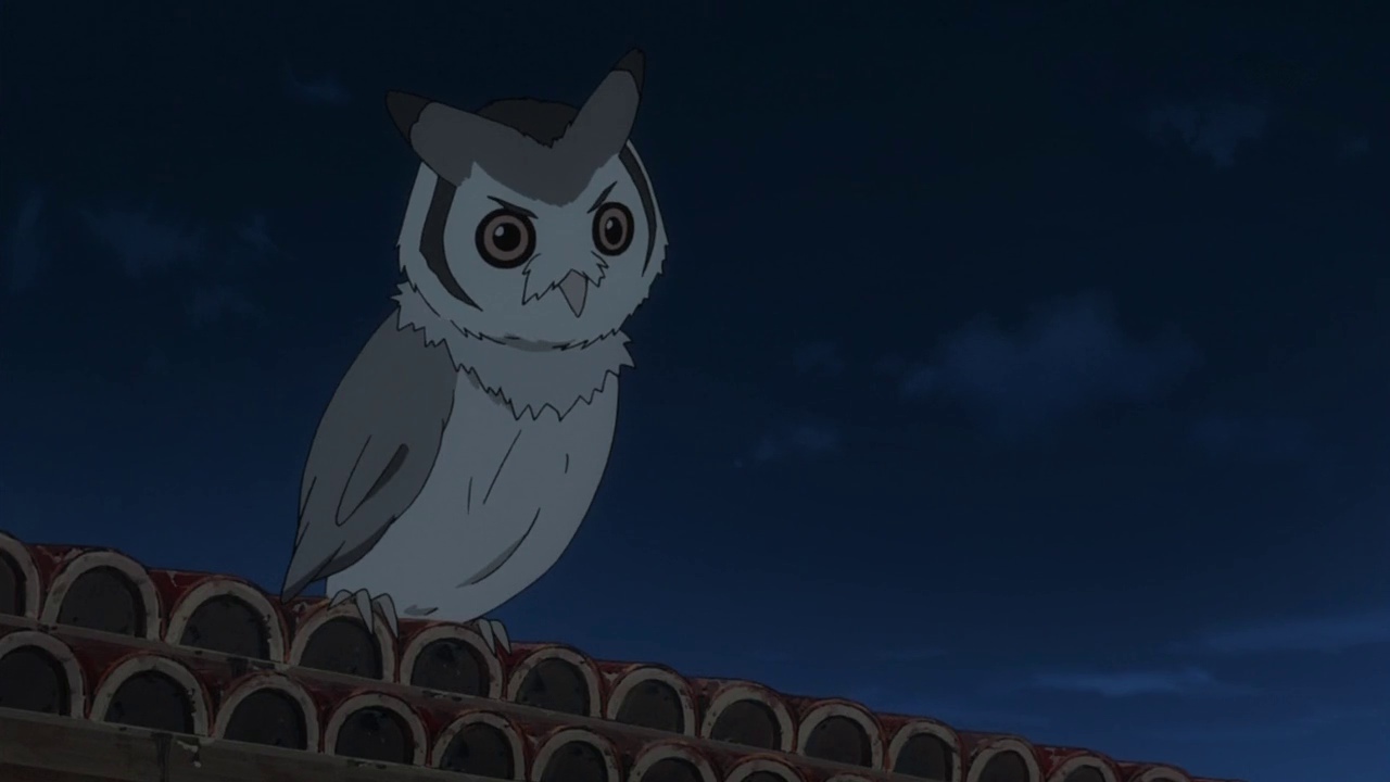 V f * at / anime :: art :: girl :: owls - JoyReactor