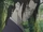 Ryūka Uchiha
