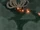 Continuous Tailed Beast Balls (Ten Tails)
