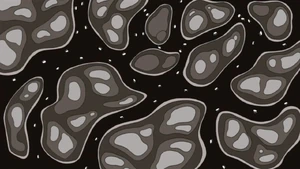 ...disperses microscopic bombs which get into the target's bloodstream...