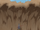 Quicksand Waterfall Flow