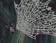Web Unrolling