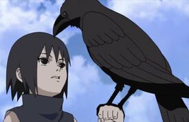Itachi crow summon