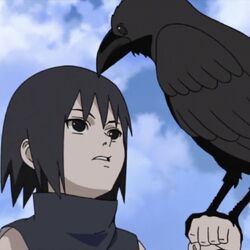 Category Summoning Creature Naruto Fanon Wiki Fandom
