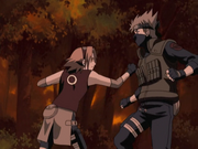 Kakashi vs. Sakura