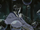 Soap Bubble Ninjutsu