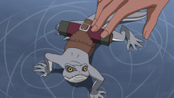 Messanger Lizard