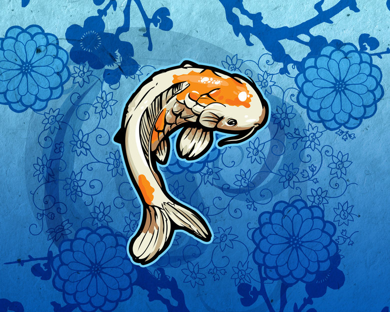 Koi Fish pretty lovely fish bonito koi sweet pond nice water feng  shui HD wallpaper  Peakpx
