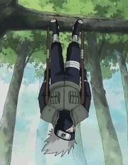 Kakashi training Team 7 in chakra training.
