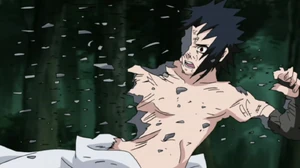 ...causing destruction at a cellular level.