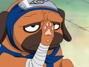 Pakkun's paw