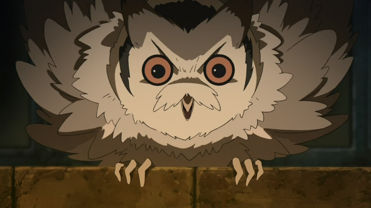 Owl: a cute anime owl with a heart of gold and big cute eyes to match | Owl,  Animal drawings, Owl art