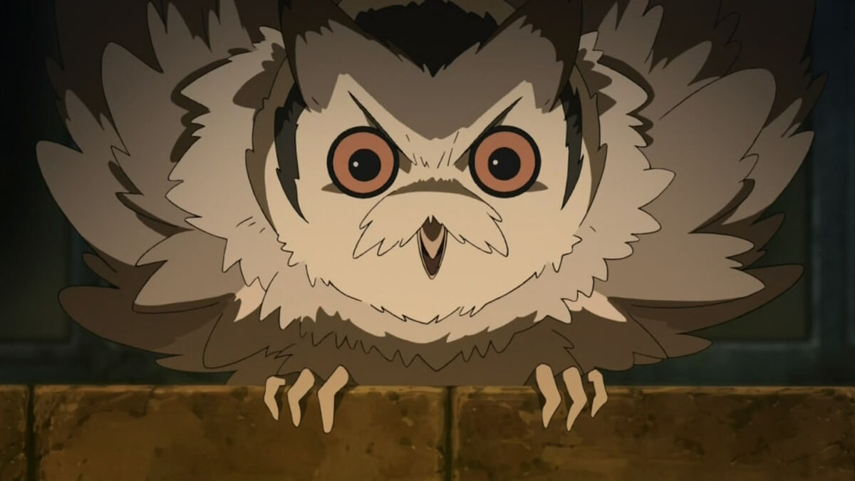 3d anime owl