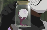 Mukai's Byakugan