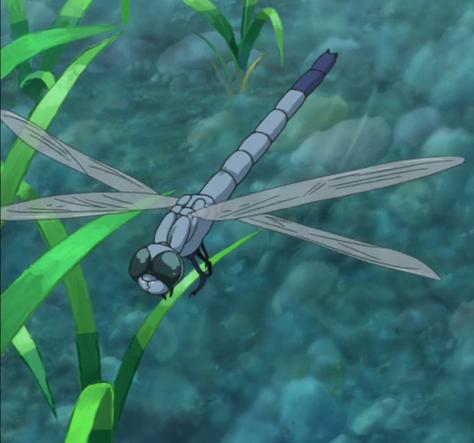 Dragonfly - Other & Anime Background Wallpapers on Desktop Nexus (Image  2140272)