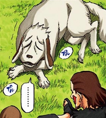 Akamaru | Wiki Naruto fanon | Fandom