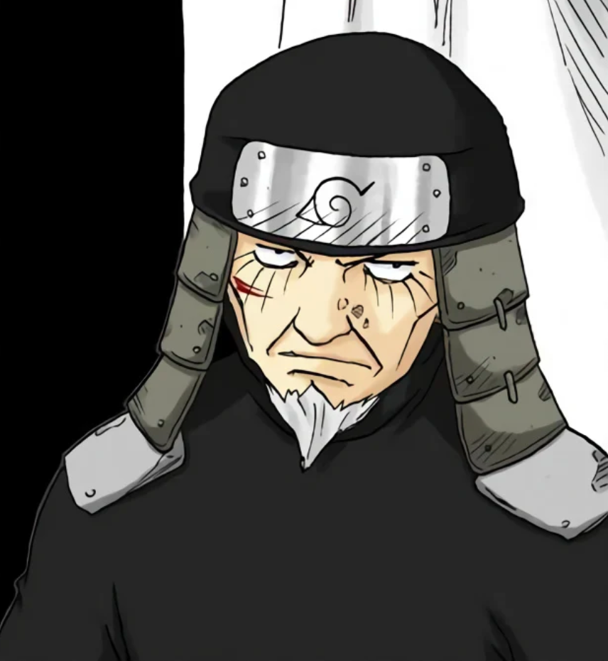 Hiruzen Sarutobi (Third Hokage), Sarutobi from Naruto anime