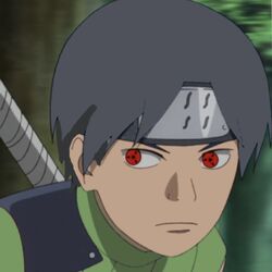 What Do You Think About This Character Infobox #21