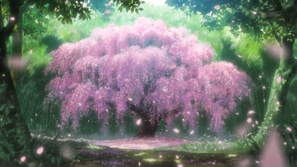 Sakura tree png images  PNGWing