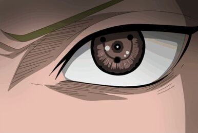 Ketsuryūgan: Mind's Eye Reflection, Naruto Fanon Wiki