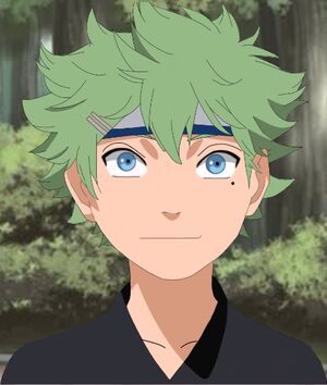 Boruto/Naruto Next Generation OC Template, Wiki