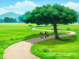 Team 7 travel for mission