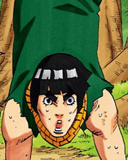 Rock Lee (epilogue)