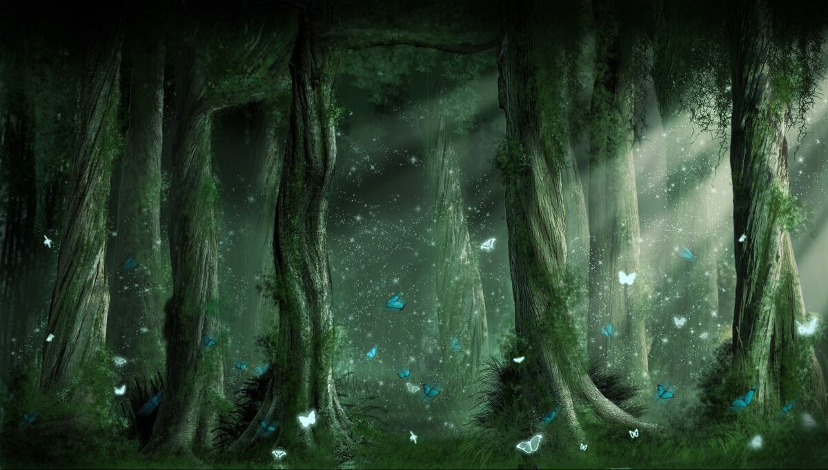 Forest of Wonders | Shinobi Legends Wiki | Fandom