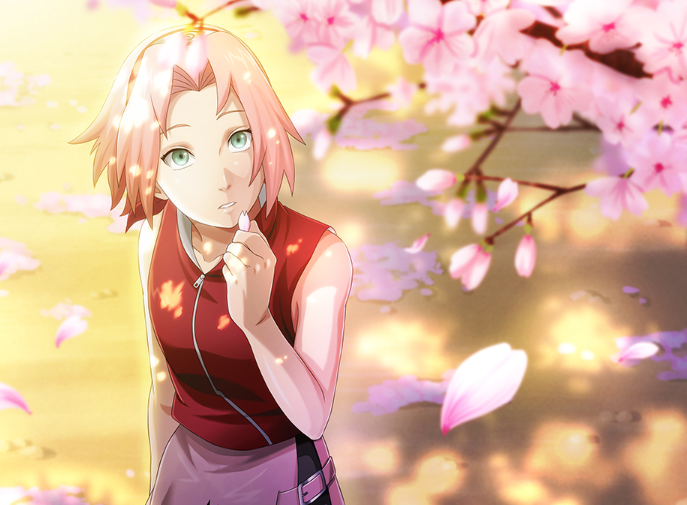 Sakura / Sakura Haruno (春野 サクラ) / [Boruto: Naruto Next