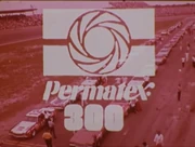 Permatex300logo