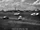 1961 Daytona 500 Qualifier 1