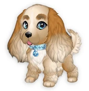 Zadania Sylwestrowe 2024r.