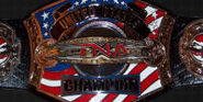 TNA United States