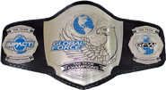 GFW World Tag Team Championship Belt
