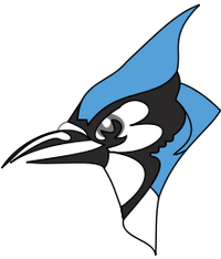 Abby SPrings BluE JayS