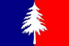 Flag of Lovia Small