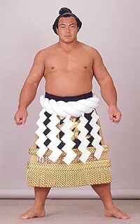 Sumo