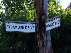 Sycamore Drive