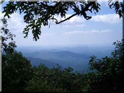 View from Painters Hill