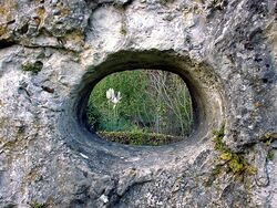 Oxelinx Park secret window