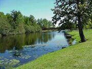 Grassy river bank